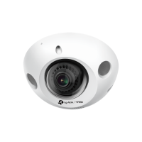 

                                    VIGI C230I Mini 3MP IR Mini Dome Network Camera